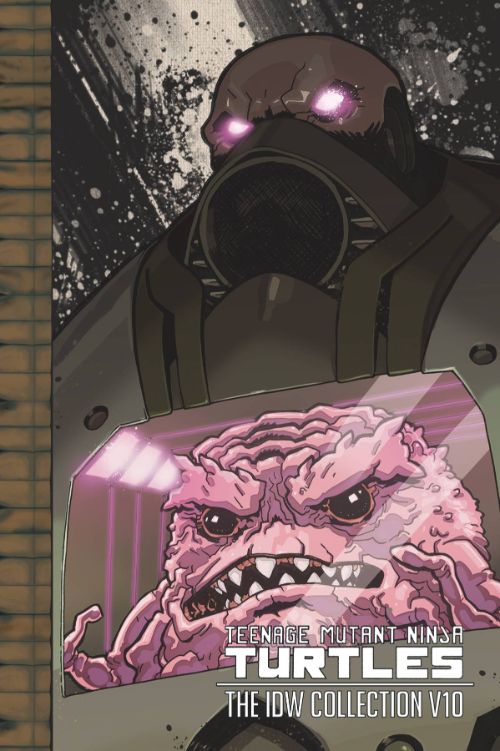 TEENAGE MUTANT NINJA TURTLES: THE IDW COLLECTIONVOL 10